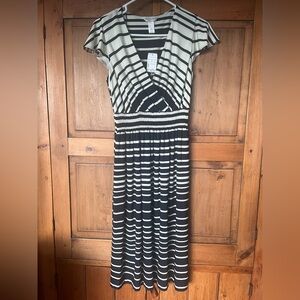 NWT Size 6 Christopher & Banks Blue and White Striped Dress